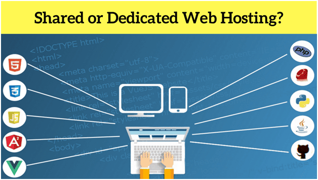 shared or dedicated web hosting