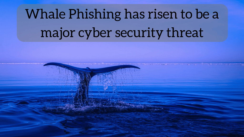 Whale Phishing has risen to be a major cyber security threat