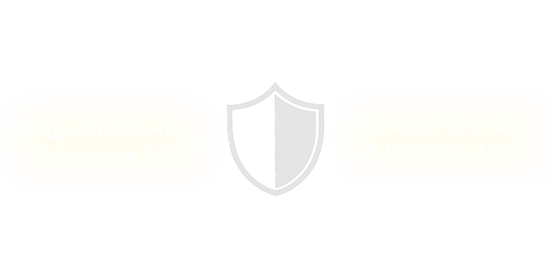 Endpoint-Security