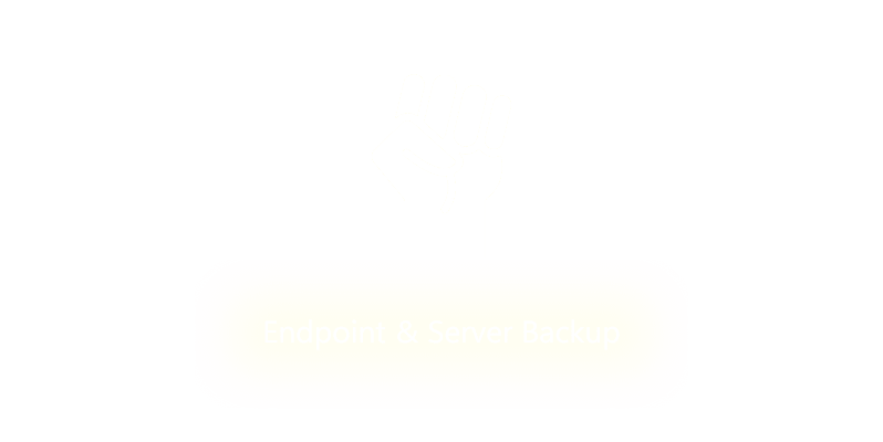 Endpoint-&-Server-Backup