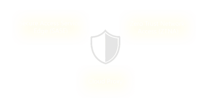 Web & Private Access Security